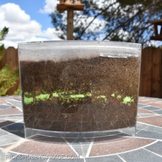 Kids Observation Ecosystem Worm Farm - 1 Year Later